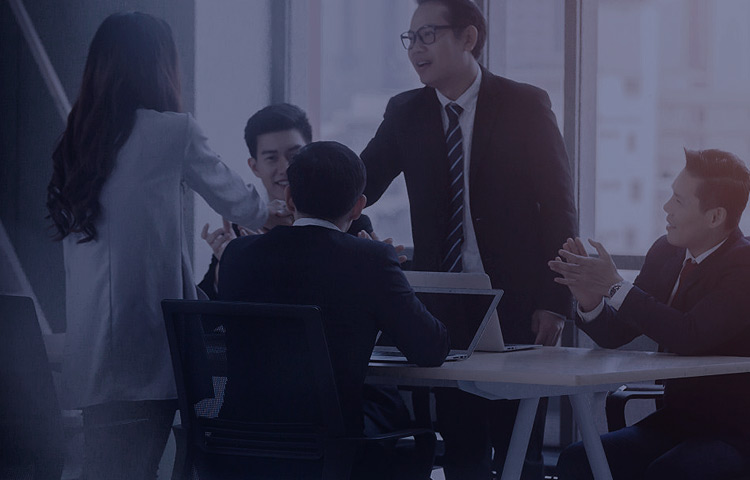 IT咨询与妄想服务