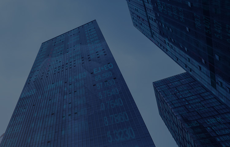 集团资金管理系统解决计划